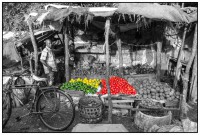 /album/galleria-fotografica/mg-5874-modifica-jpg/