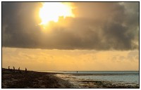 /album/galleria-fotografica/mg-5946-jpg/