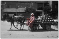 /album/galleria-foto-kenya/img-1184-modifica-jpg/