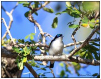 /album/galleria-foto-madagascar/m7h1261-jpg/