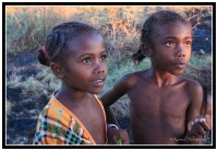 /album/galleria-foto-madagascar/mg-2306h-jpg/