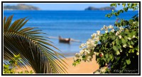 /album/galleria-foto-madagascar/m7h2596-jpg/