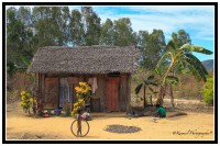 /album/galleria-foto-madagascar/m7h2710-jpg/